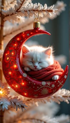 a white cat sleeping on top of a red crescent ornament hanging from a christmas tree