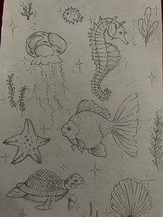 a drawing of sea animals and fish on paper