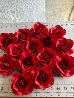 red paper roses laid out on a ruler