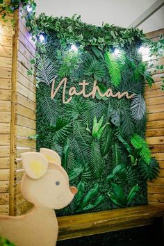 a stuffed animal is standing in front of a green wall with the name nathan on it