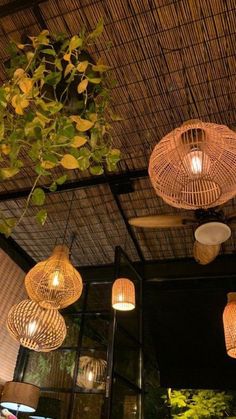 some lights hanging from the ceiling in a room with plants and other things on it