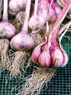 several bulbs of garlic sitting on top of a table