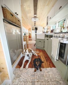 a dog laying on the floor in a kitchen