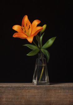 an orange flower in a clear vase on a wooden ledge against a black background,