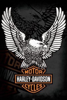 the harley davidson logo with an eagle on it's back and two crossed wings