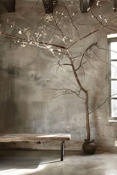 an empty room with a bench and tree in the corner