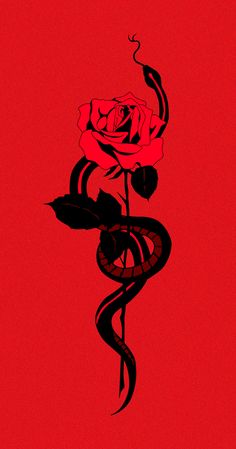 Snake And Rose Wallpaper, Edgy Red Aesthetic Wallpaper, Red Snake Wallpaper, Red Snake Aesthetic, Snake Wallpaper Aesthetic, Edgy Red Aesthetic, Red And Black Snake, Konosuba Wallpaper, Simplistic Wallpaper