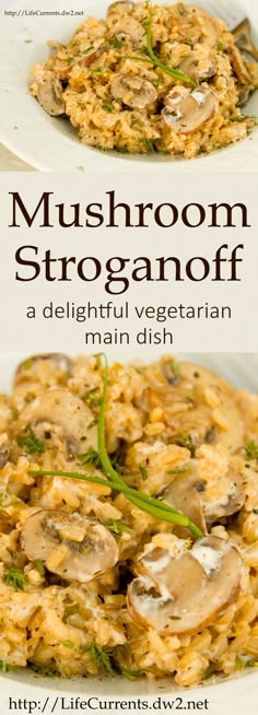 mushroom stroganoff is a delicious vegetarian main dish