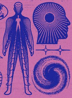 an image of the human body in blue ink on pink paper with other items surrounding it