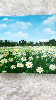 Acrylic painting on canvas of a white daisy flower field with beautiful background blue sky with clouds Canvas For Beginners, Daisy Painting, Flower Painting Canvas, Easy Canvas Art, Canvas Painting Designs, Painting Ideas On Canvas