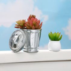 two potted succulents sitting on top of a window sill