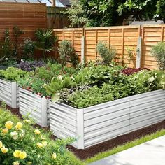 a garden filled with lots of plants next to a wooden fence