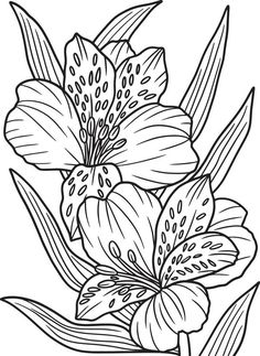 a flower that is outlined in black and white