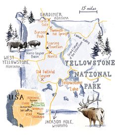 an illustrated map of yellowstone national park with elk, moose, and other wildlife in it