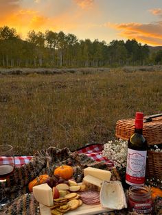 a picnic with wine, cheese and bread on the grass in front of an open field