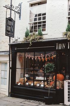 a store front with many items on display in it's glass windows and plants growing out of the window