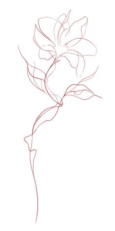 a line drawing of a flower on a white background