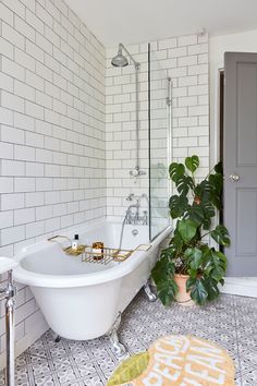 a white bath tub sitting next to a green plant in a bathroom under a window