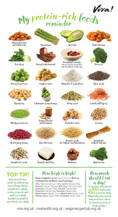 High Protein Foods, 500 Calorie, Plant Based Diet Recipes, Protein Nutrition, Vegetarian Protein, Resep Diet, Vegan Nutrition, Protein Rich Foods