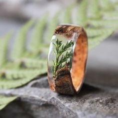 a wooden ring with moss growing in it on top of a rock next to leaves