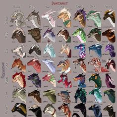 the different types of dragon heads are shown in this image, and each has their own name