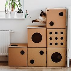 a cat sitting on top of cardboard boxes in front of a radiator and window