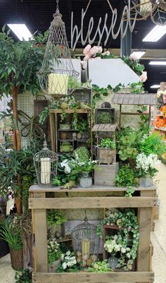 an assortment of flowers and plants on display in a store