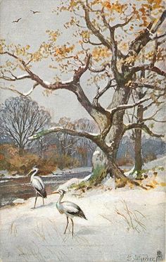 two birds are standing in the snow by a tree