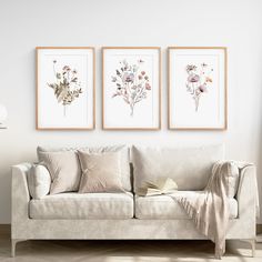 three framed pictures hang on the wall above a couch in a living room with white walls