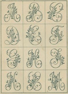 an old fashioned alphabet with flowers and vines