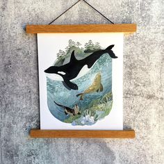 an orca whale and two ducks swimming in the ocean