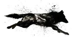 a black and white photo of a dog flying through the air