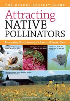 the book cover for attacking native pollinators