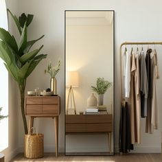 a room with a mirror, dresser and clothes rack on it's wall next to a potted plant