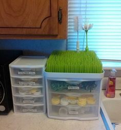 a kitchen counter with plastic bins filled with food