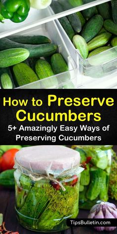 cucumbers and other vegetables are in plastic containers with the title how to preserve cucumbers