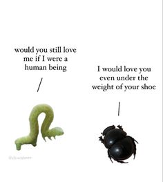 two different types of bugs and one with the words, would you still love me if i were a human being