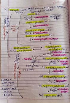 an open notebook with writing on it and several different types of numbers in the pages