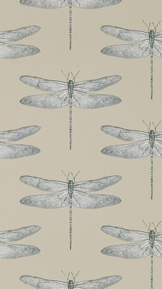 a wallpaper with dragonflies on it in grey and green colors, all facing different directions