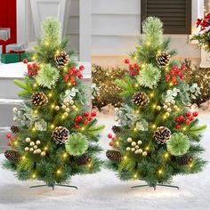 two small christmas trees with pine cones and berries