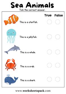 sea animals worksheet for kids