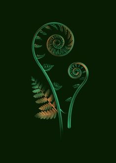 an illustration of two green plants with spirals on their stems and leaves, against a dark background