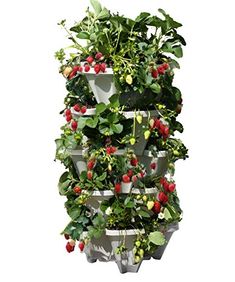 a tall planter with strawberries and other plants growing on it's sides