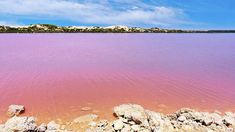 the water is very pink in color