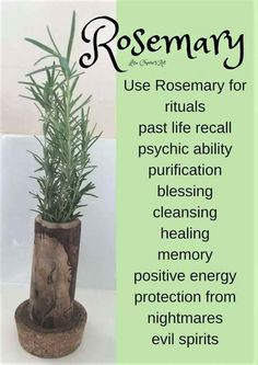 a plant in a wooden pot with the words rosemary on it and an image of a tree stump