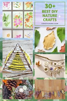 the cover of 30 + best diy nature crafts