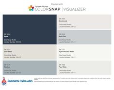 the color scheme for colorsnap visualizer is shown in blue, gray and white