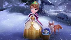 Princes Sofia, Sofia The First Characters, Girls Bedroom Themes, Disney Princess Sofia, Disney Princess Pictures, Disney Princess Art