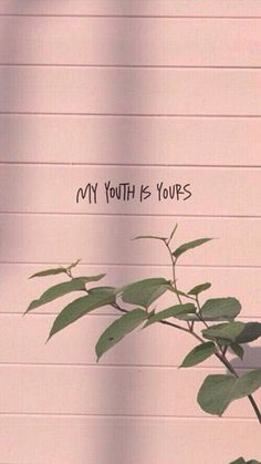 a plant with writing on it in front of a wall that says, my youth is yours