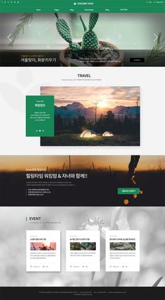 the website design for travel company is shown in green and white colors, with an image of